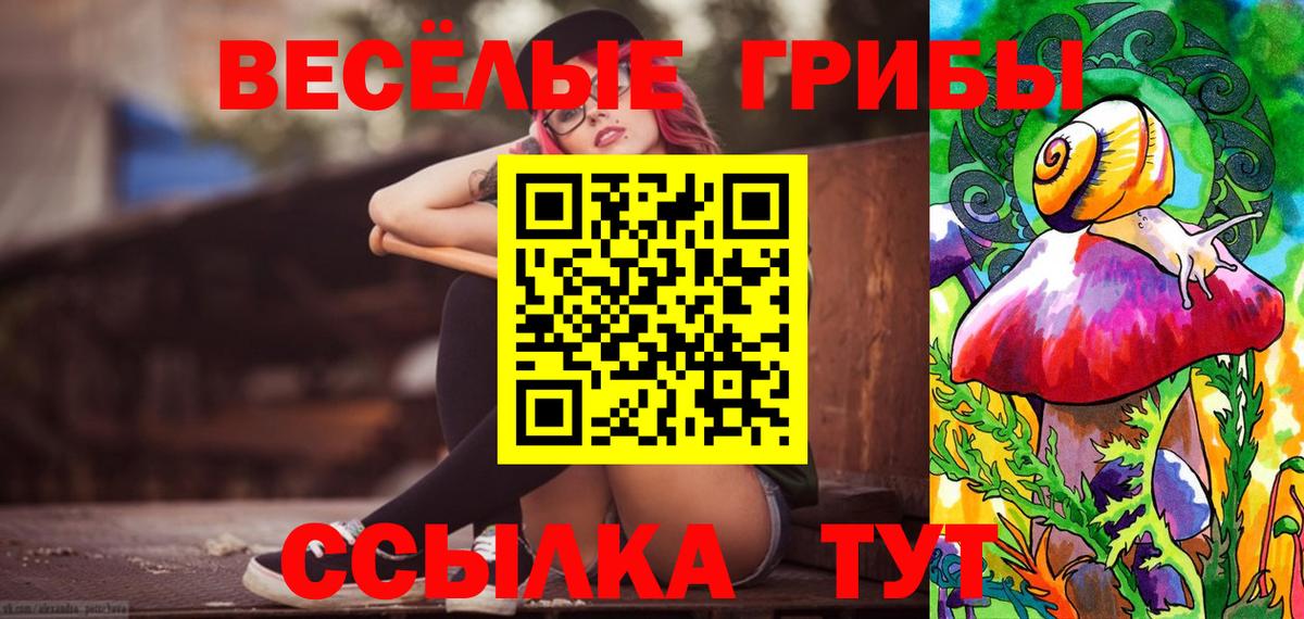 как найти закладки  Вход с VPN  Калининград  Галлюциногенные грибы Psilocybe 