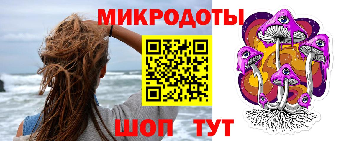 Галлюциногенные грибы Psilocybine cubensis Калининград